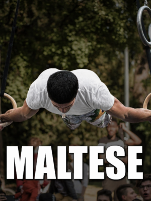 Maltese - 3GG