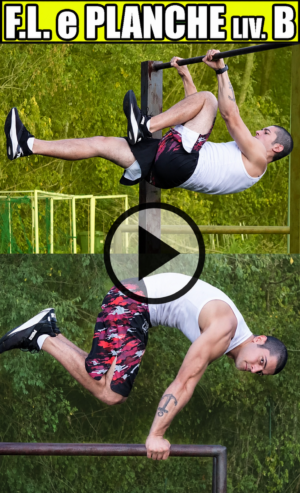 2 VIDEO WORKOUT PL. e F.L. - Livello B