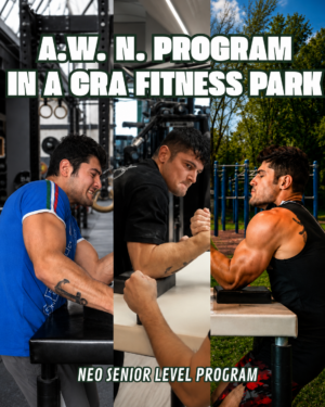 3-PROGRAM BUNDLE